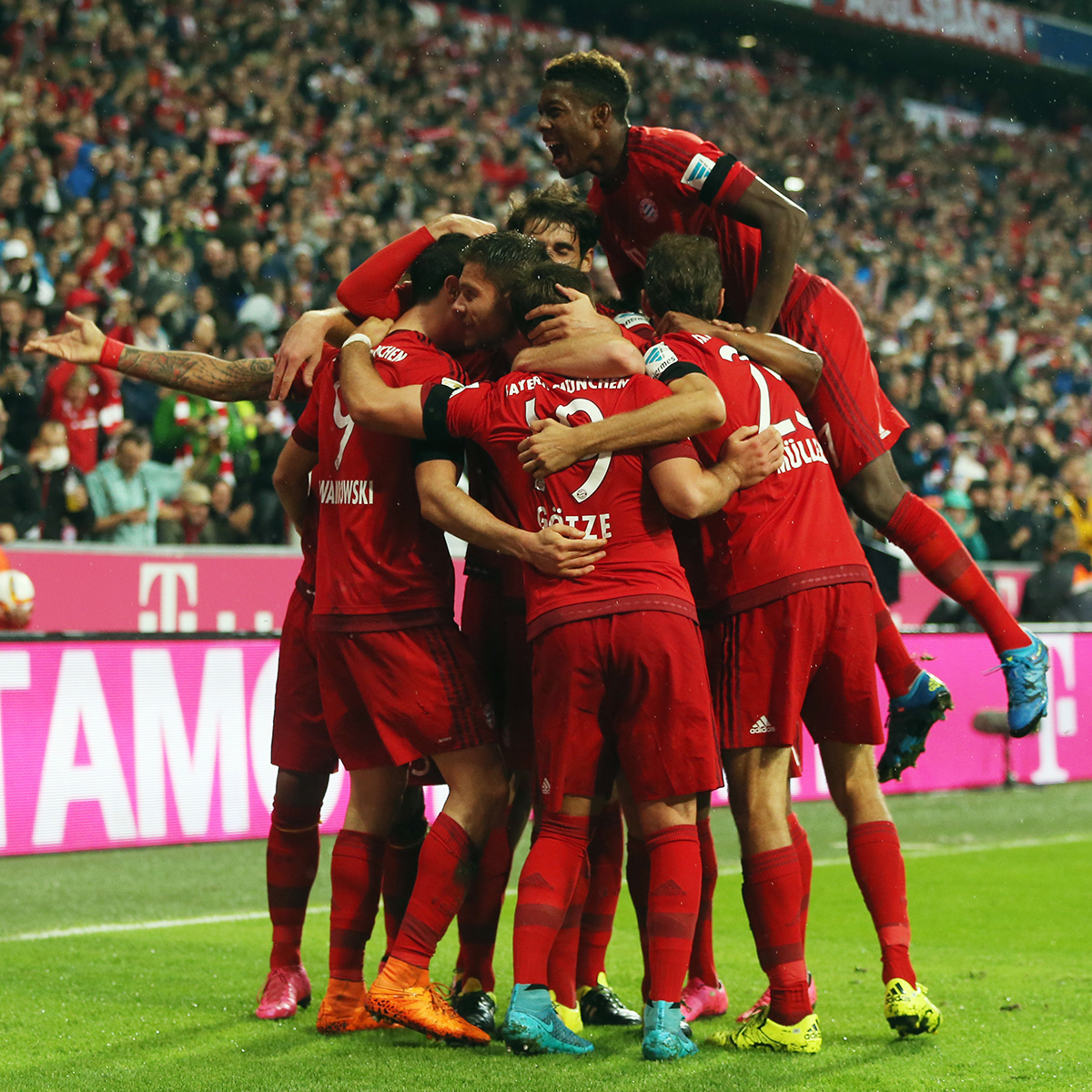 葵花籽脱蜡生产线