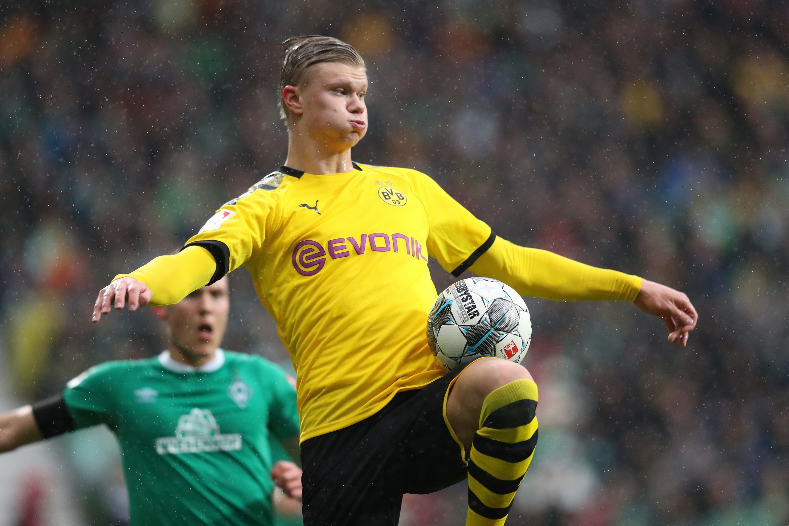 YZY40型螺旋榨油机